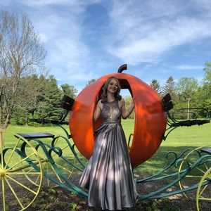 Cecily Brown Silver Prom Dress, size 4.